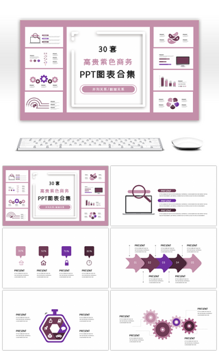 30套高贵紫色商务PPT图表合集