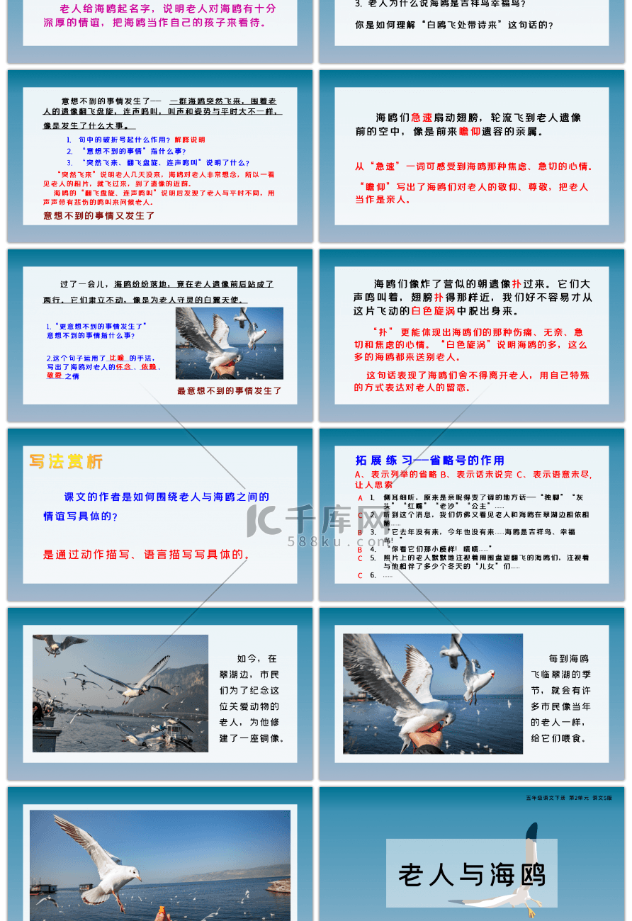 语文S版五年级老人与海鸥课件PPT模板