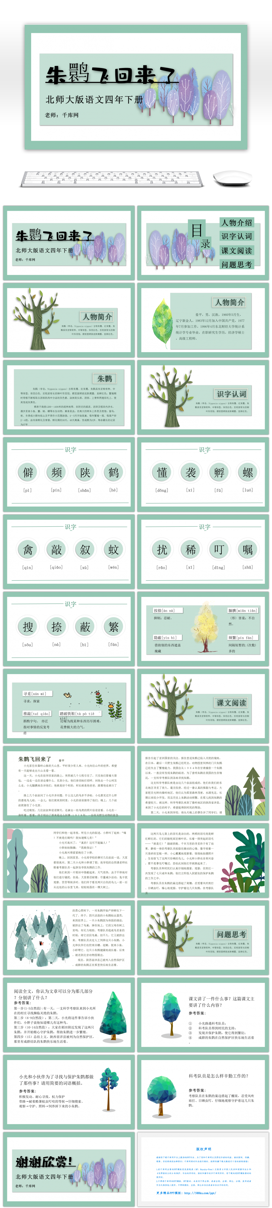 北师大版语文四年级下册朱鹮飞回来了课件PPT模板