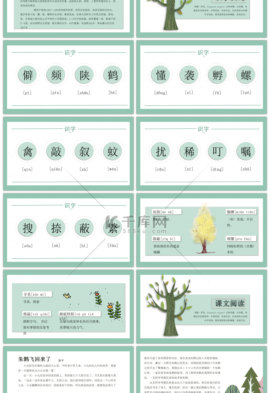 北师大版语文四年级下册朱鹮飞回来了课件PPT模板