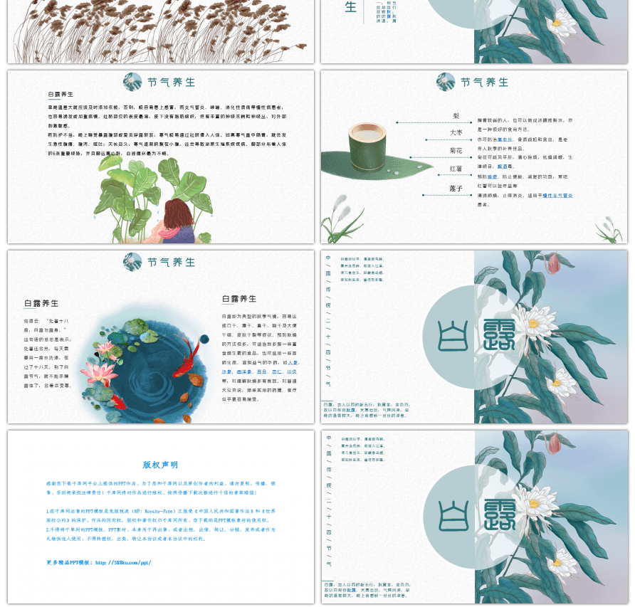 浅色创意文艺白露节气介绍PPT模板