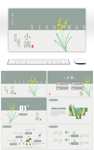 复古淡雅二十四节气小满PPT模板