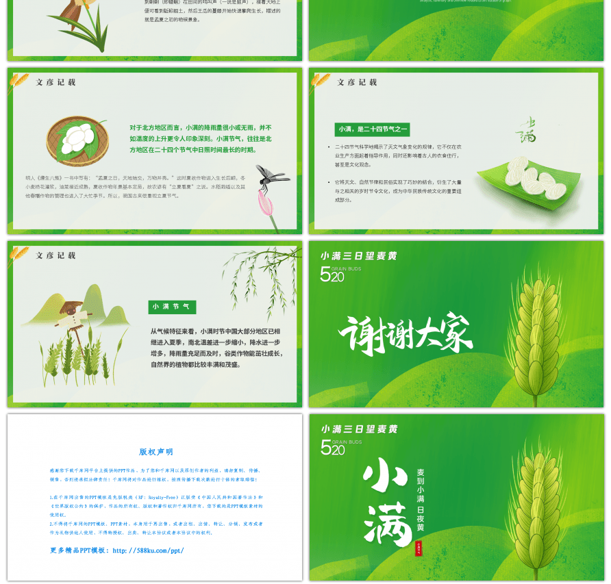 绿色中国二十四节气小满节气介绍PPT模板
