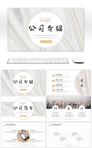高端商务公司介绍企业宣传PPT模板