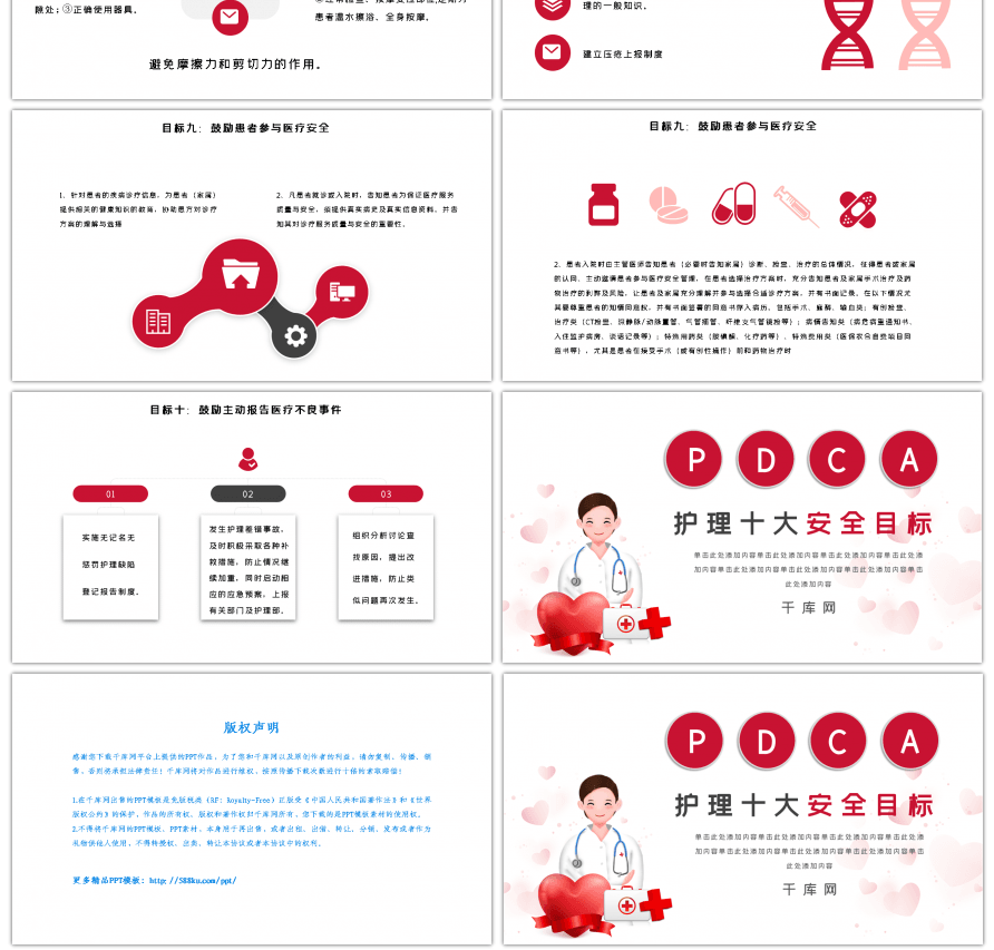 红色护理十大安全目标PPT模板