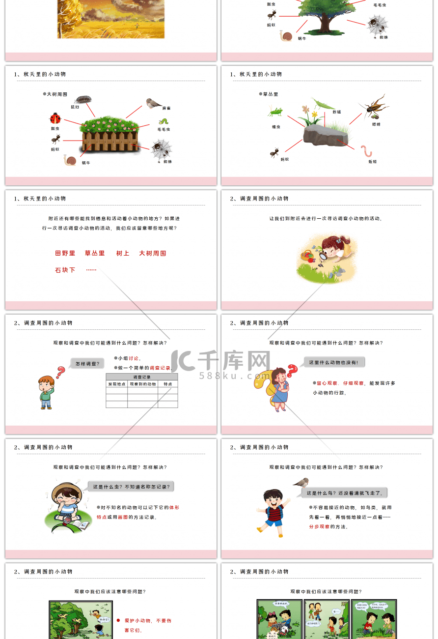 教科版三年级科学上册寻访小动物PPT课件