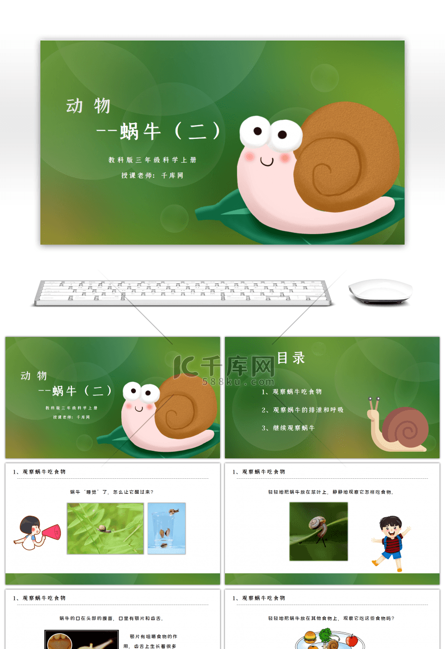 教科版三年级科学上册蜗牛PPT课件（二）