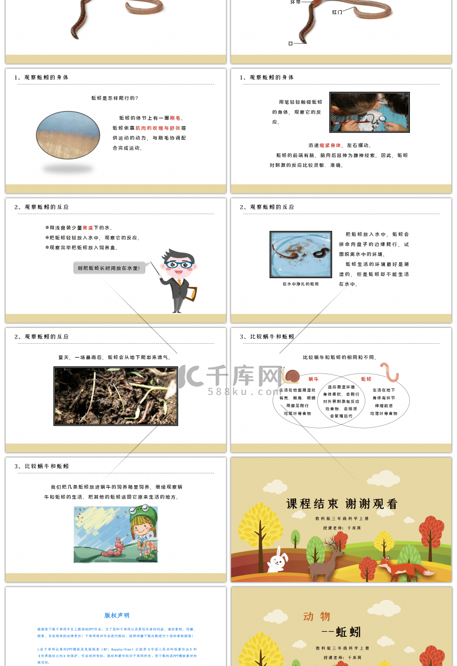 教科版三年级科学上册蚯蚓PPT课件