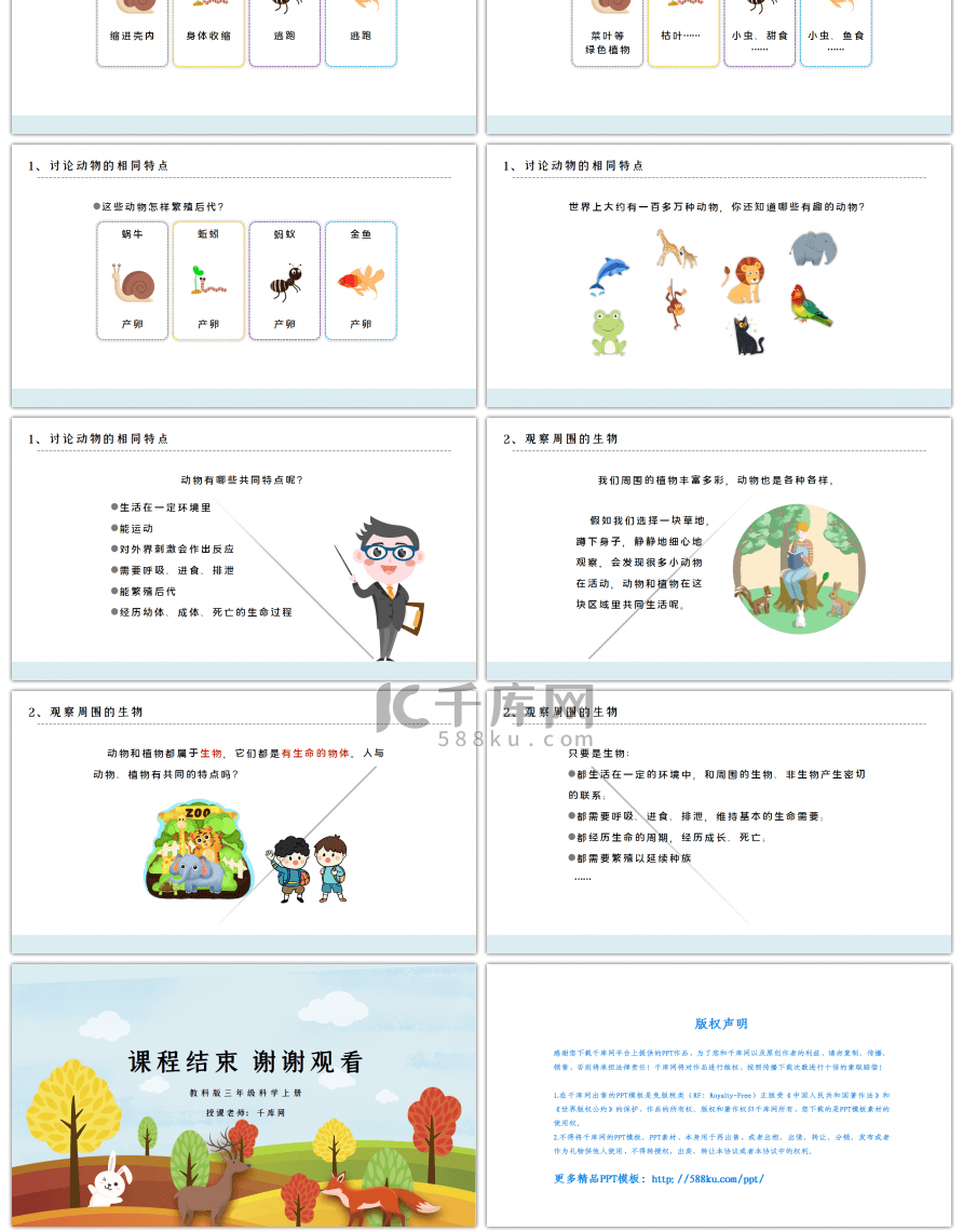 三年级科学上册动物的共同特点PPT课件