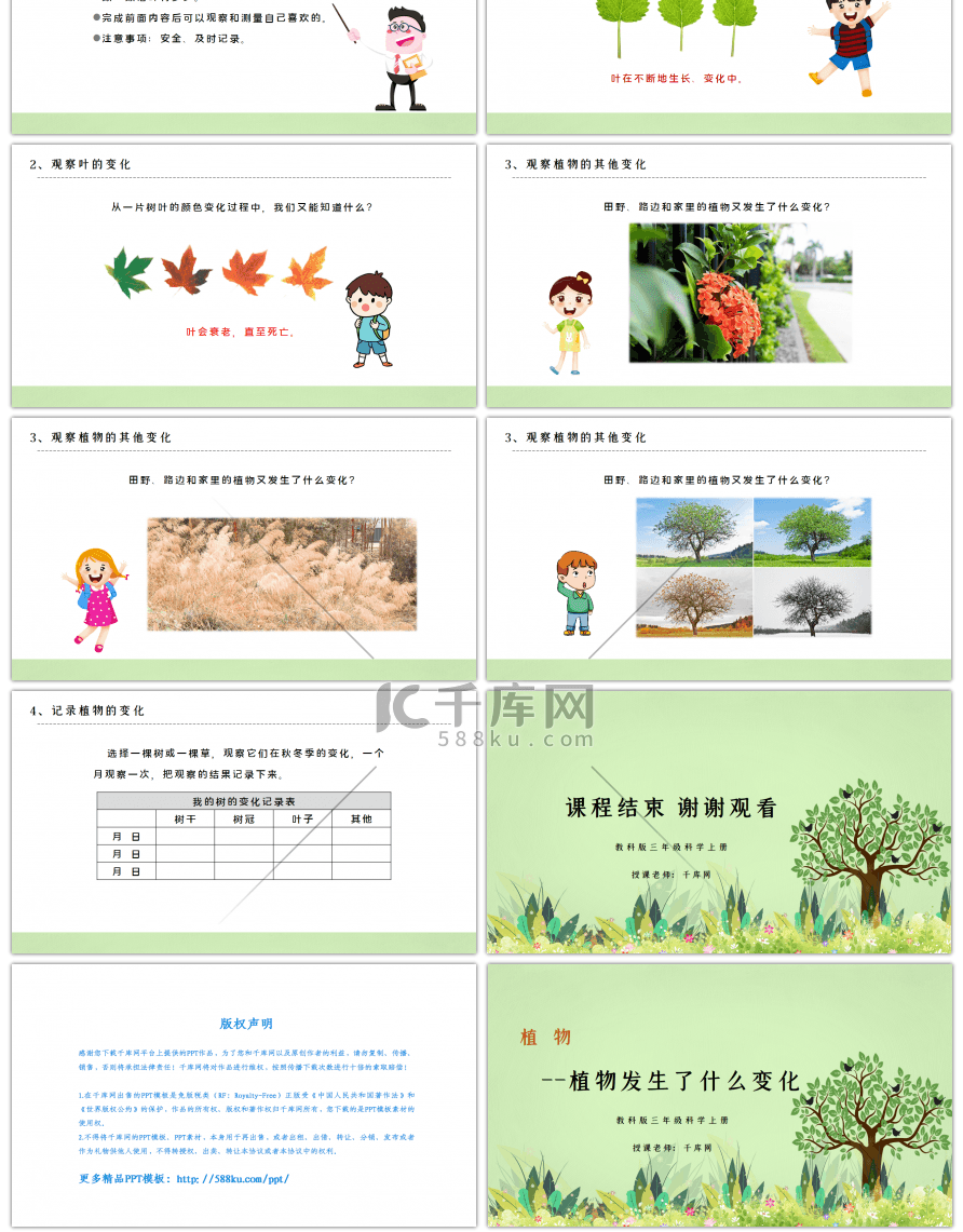 三年级科学上册植物发生了什么变化PPT课件