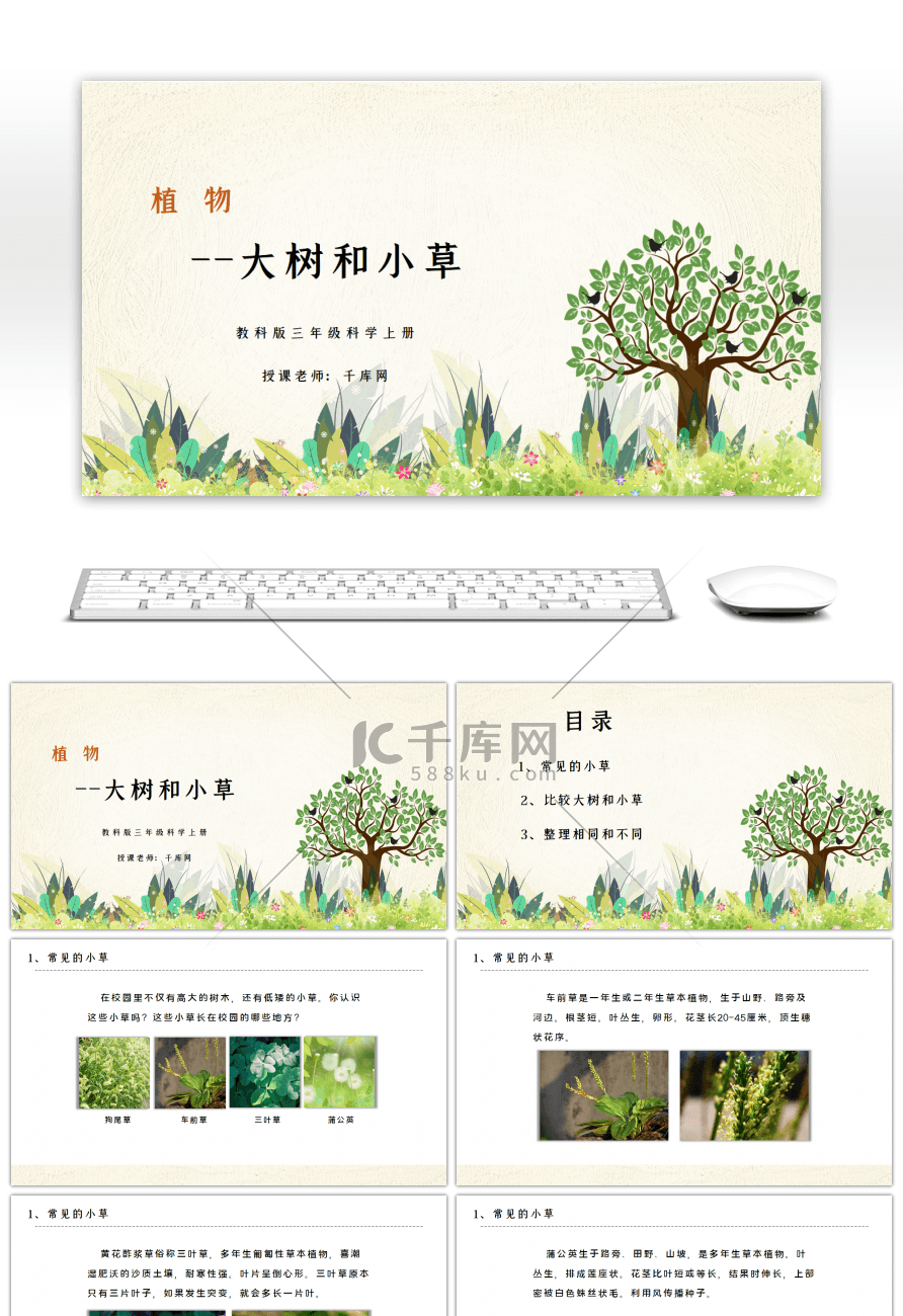 教科版三年级科学上册大树和小草PPT课件