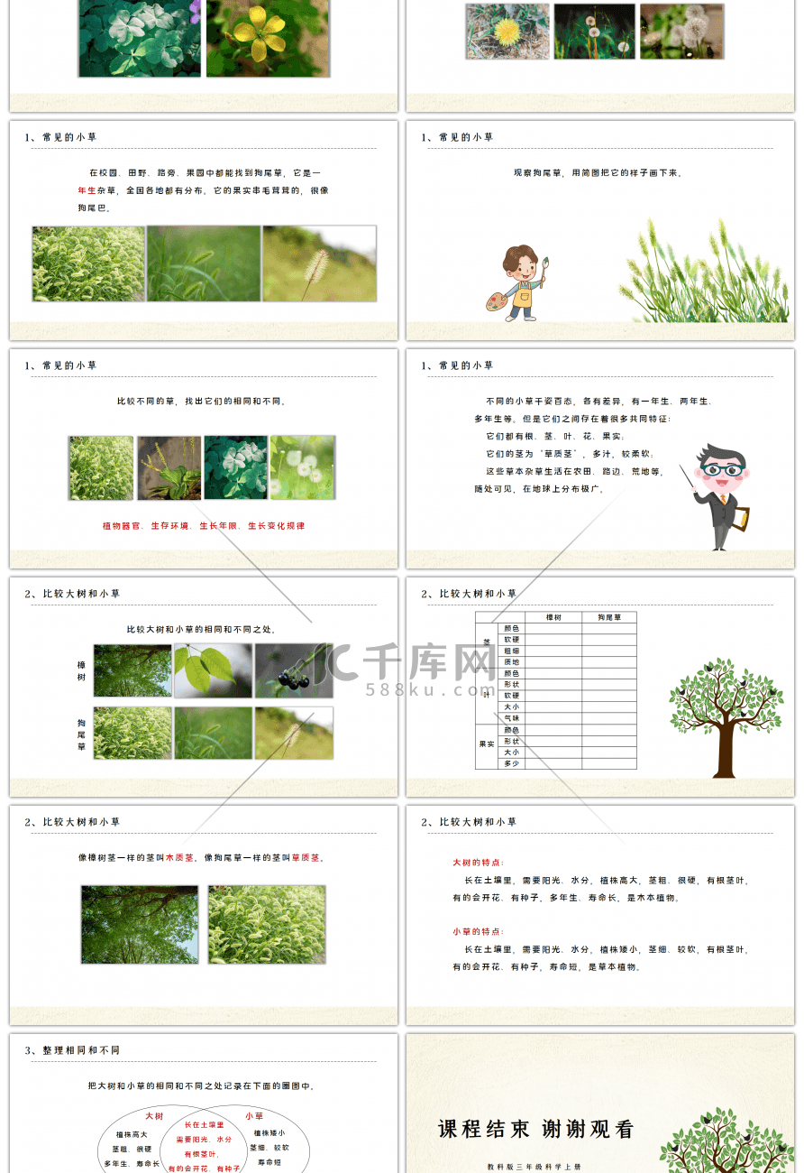 教科版三年级科学上册大树和小草PPT课件