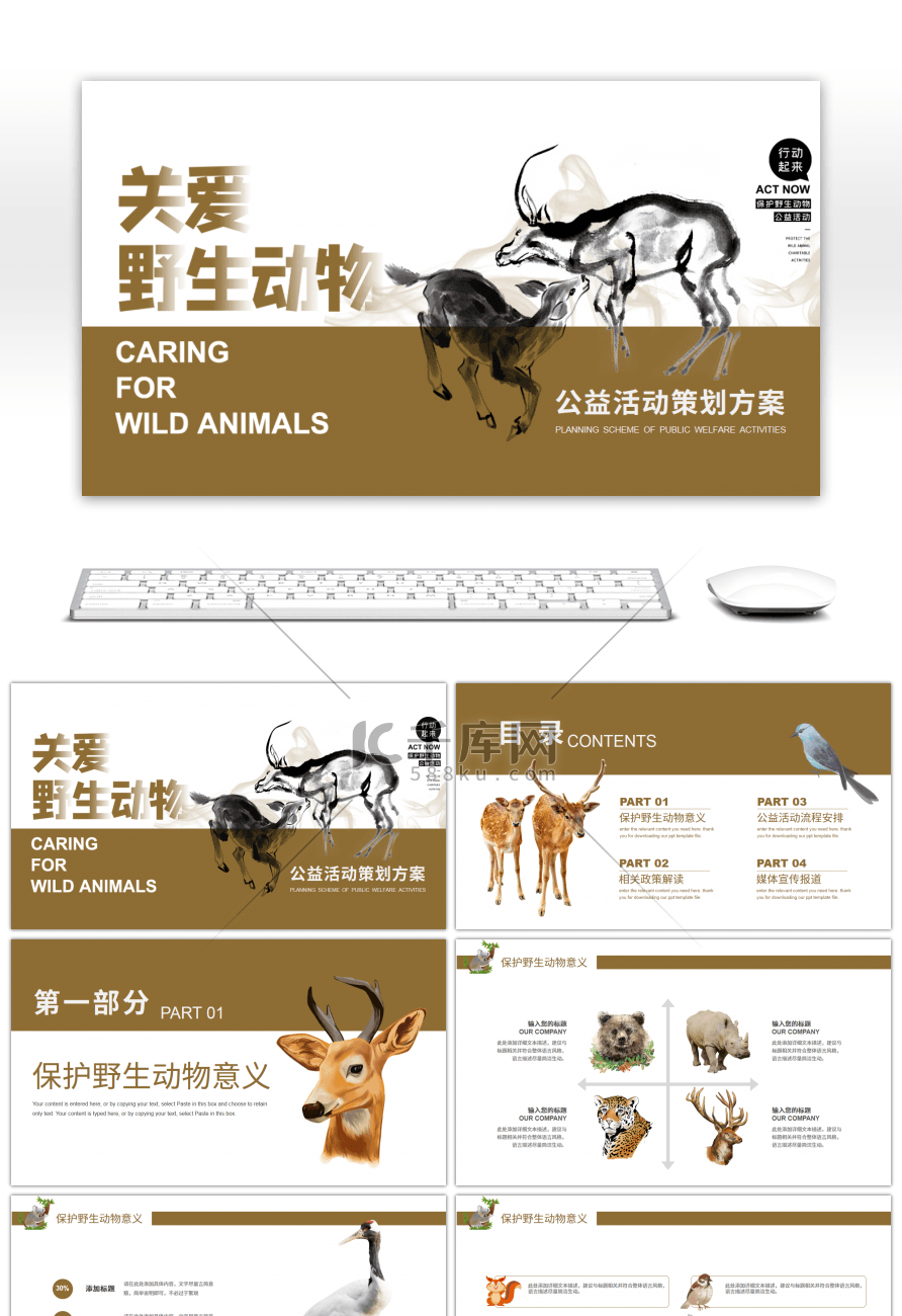 保护野生动物公益活动策划方案PPT模板
