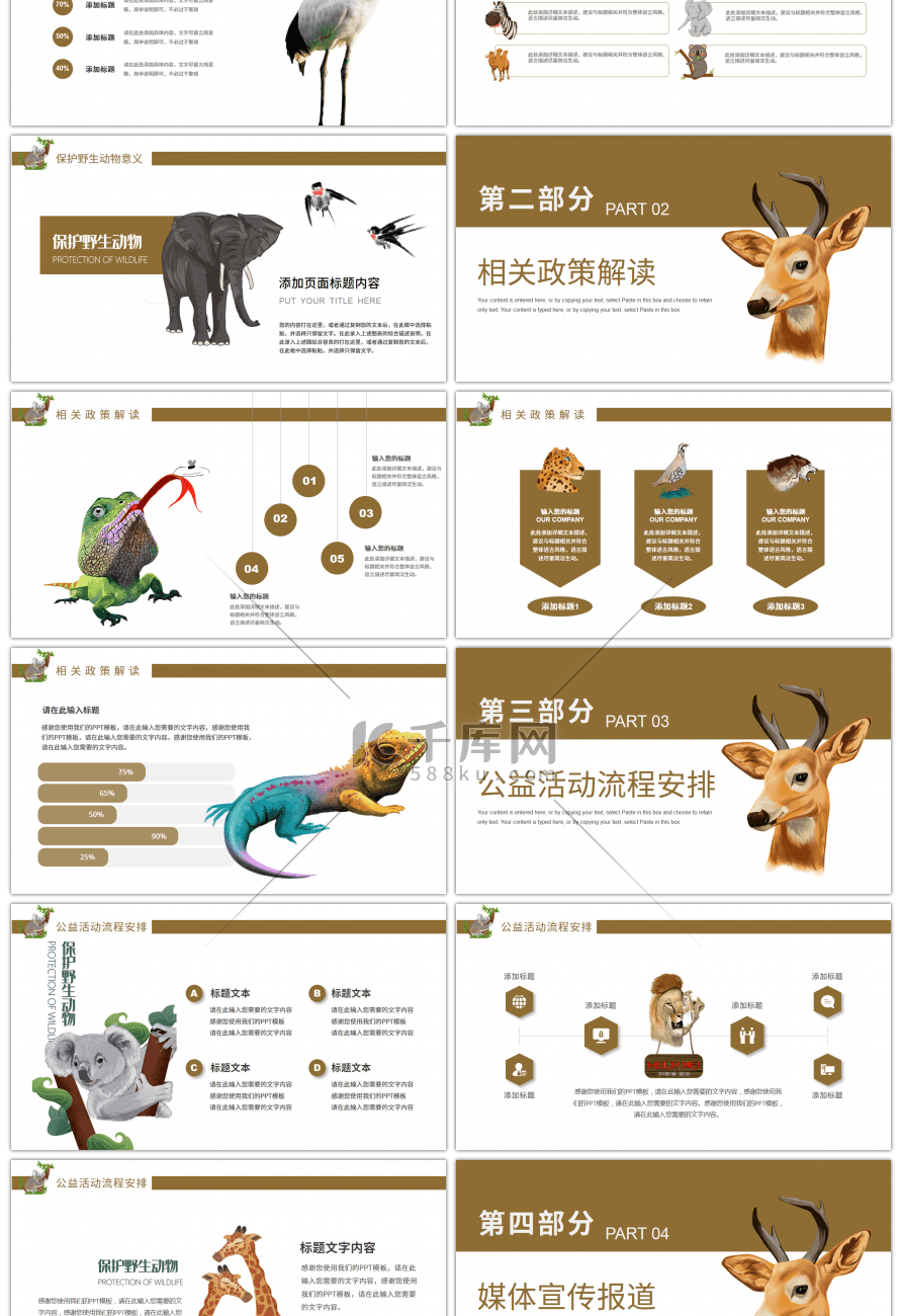 保护野生动物公益活动策划方案PPT模板
