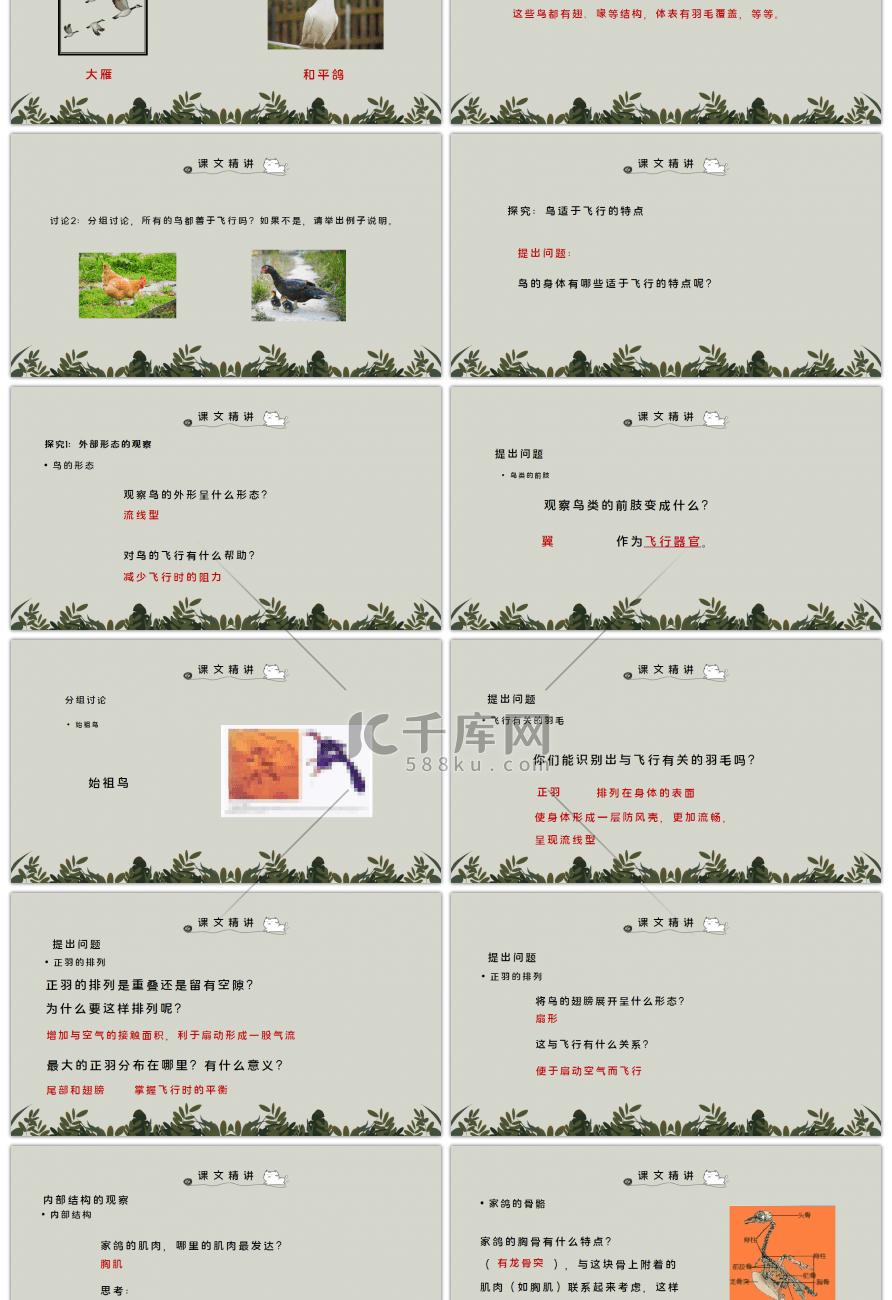 部编版七年级语文上册鸟PPT课件