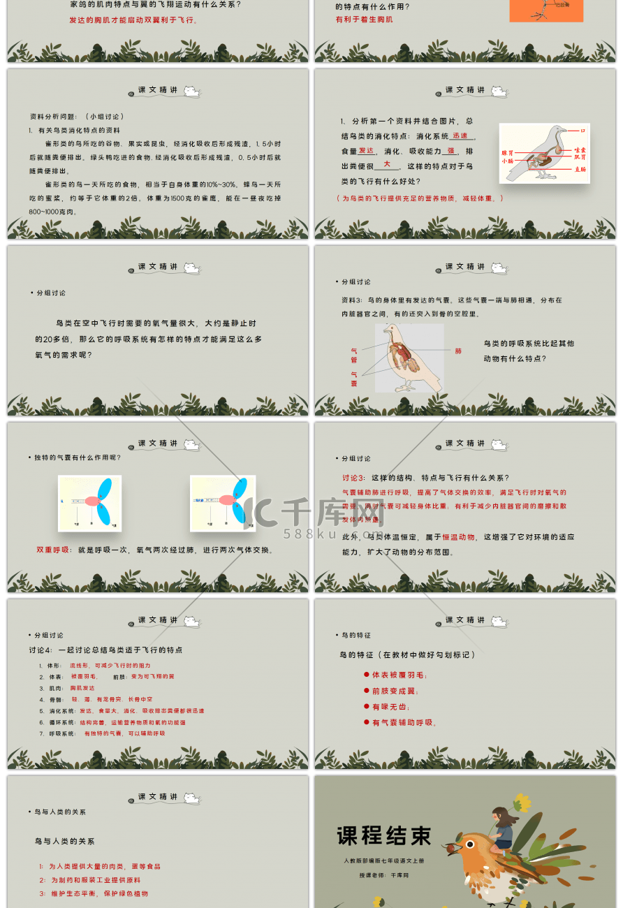 部编版七年级语文上册鸟PPT课件