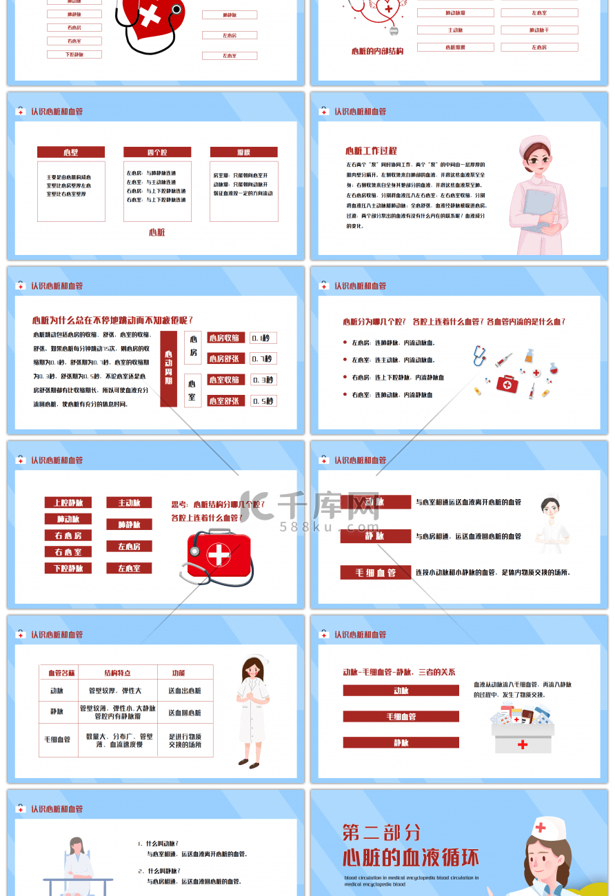 蓝色简约医学百科之血液循环知识讲座PPT