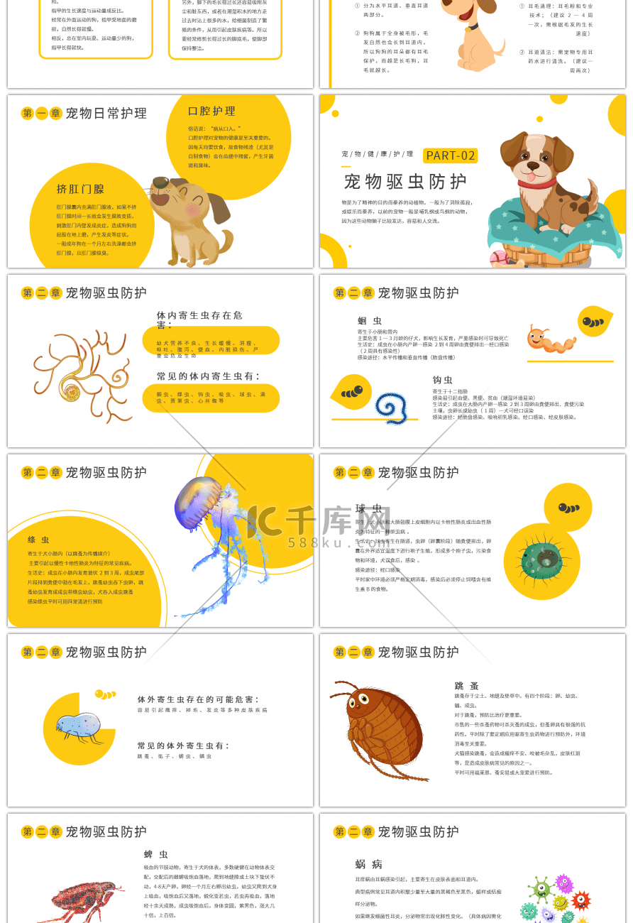 宠物医疗健康护理黄色简约PPT模板