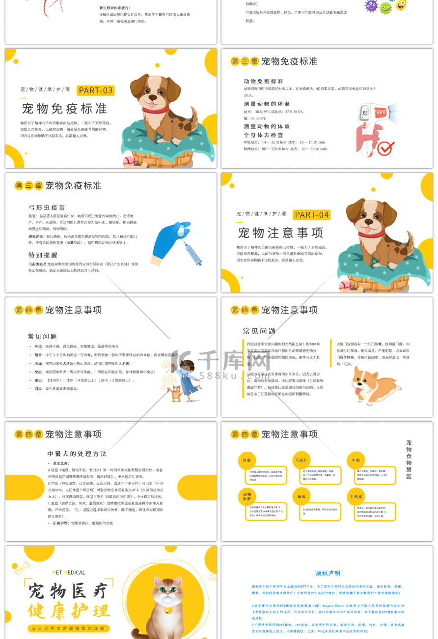 宠物医疗健康护理黄色简约PPT模板