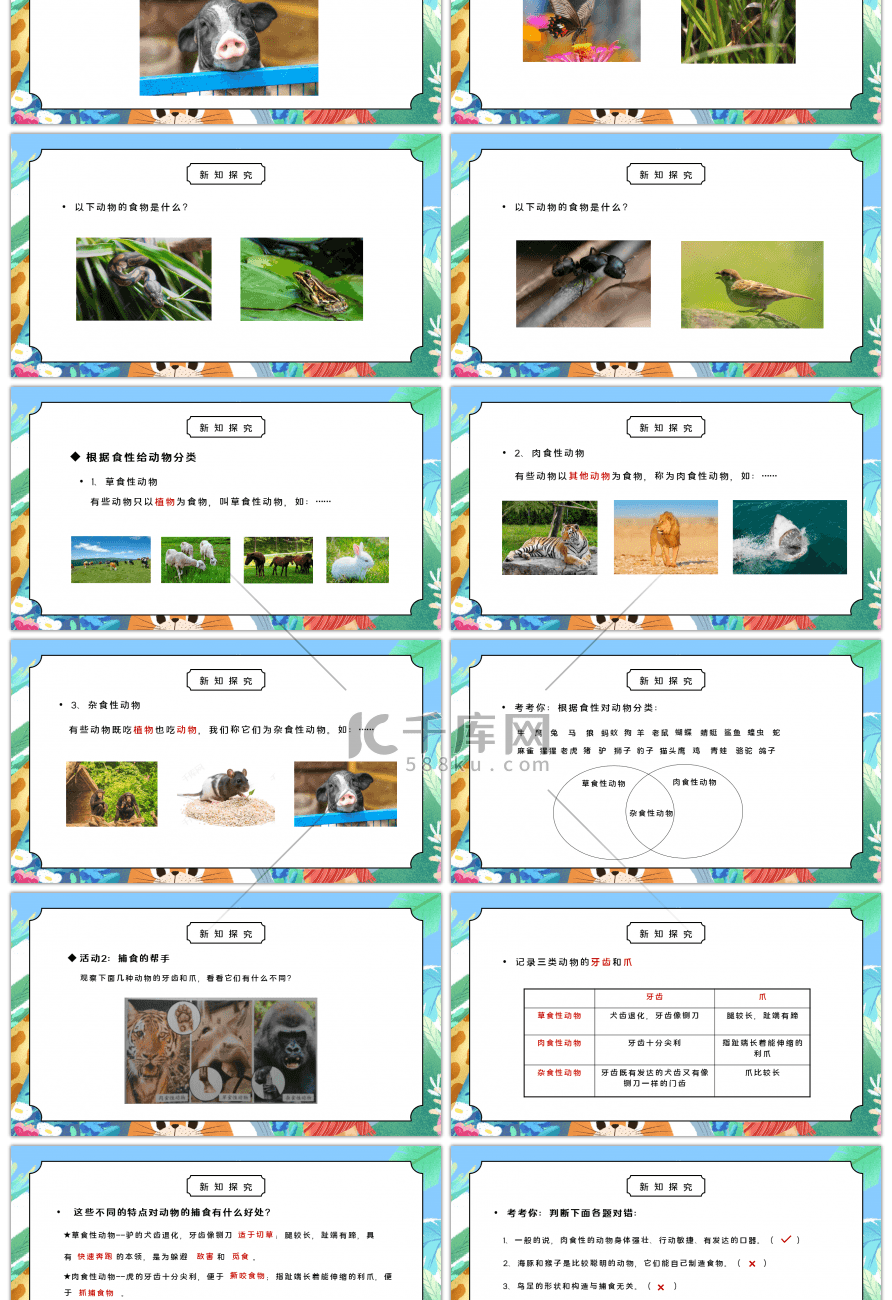 人教版三年级科学上册第二单元《动物的生活-动物的食物》PPT课件