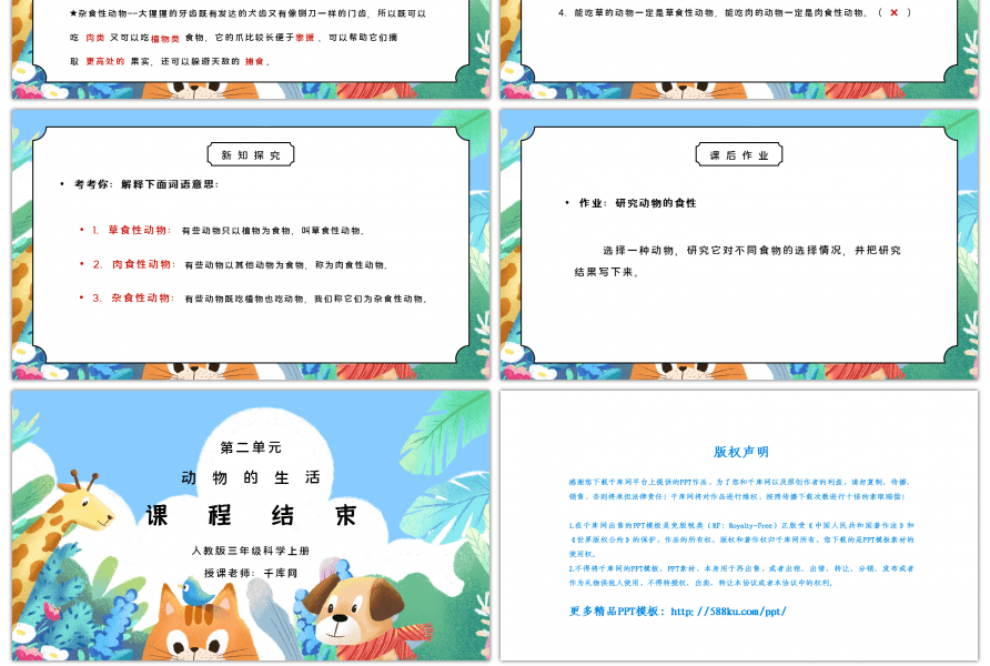 人教版三年级科学上册第二单元《动物的生活-动物的食物》PPT课件