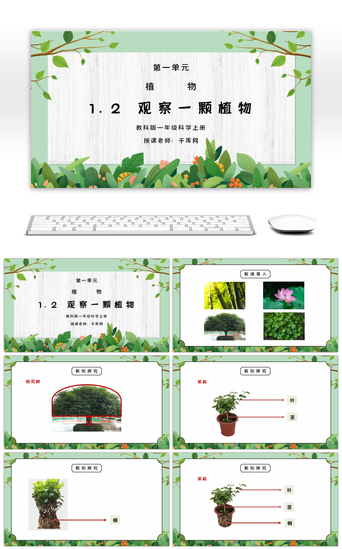 免费植物pptPPT模板_教科版一年级科学上册第一单元《植物-观察一颗植物》PPT课件