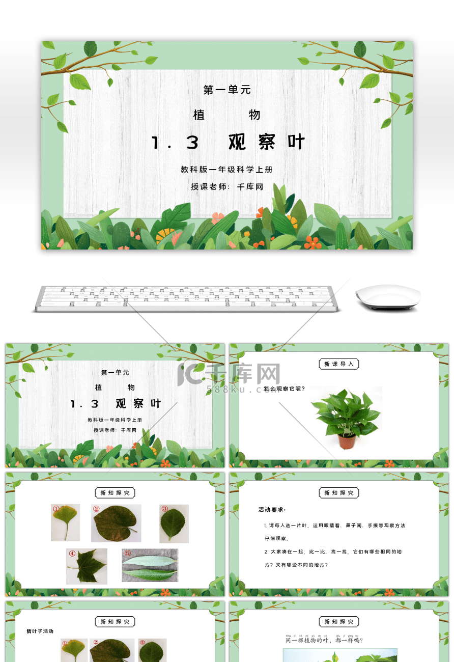 教科版一年级科学上册第一单元《植物-观察叶》PPT课件