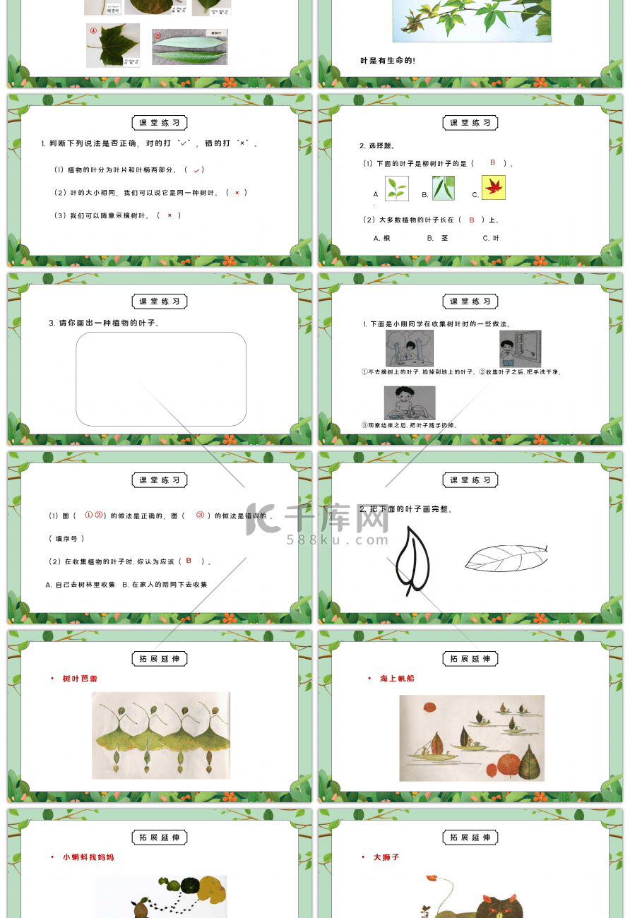 教科版一年级科学上册第一单元《植物-观察叶》PPT课件