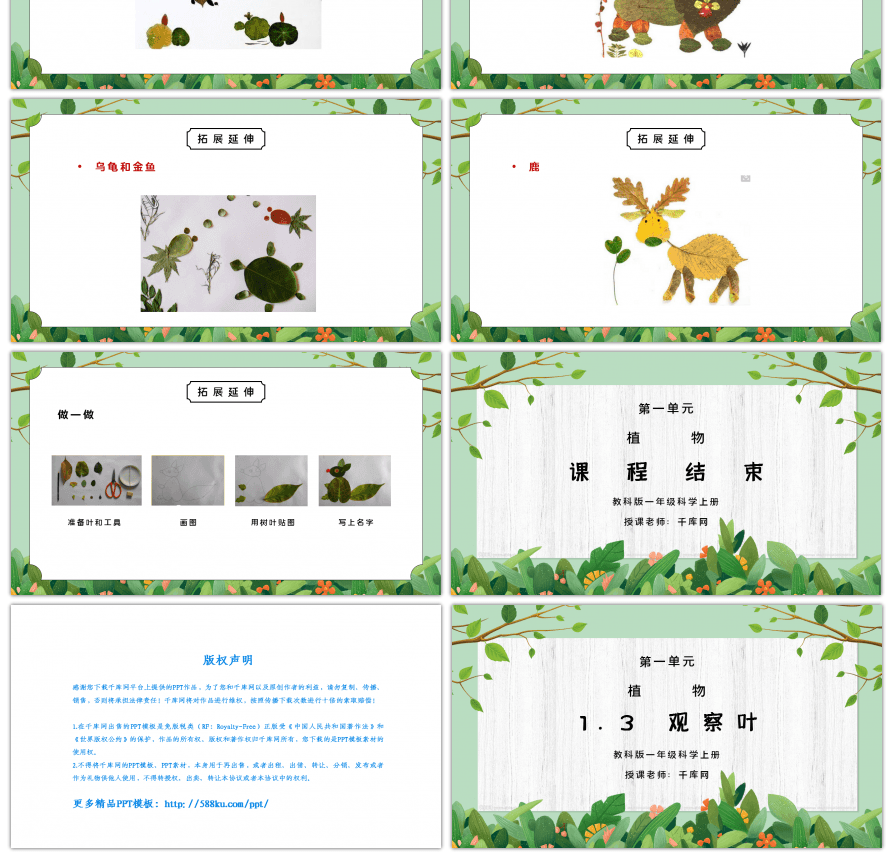 教科版一年级科学上册第一单元《植物-观察叶》PPT课件