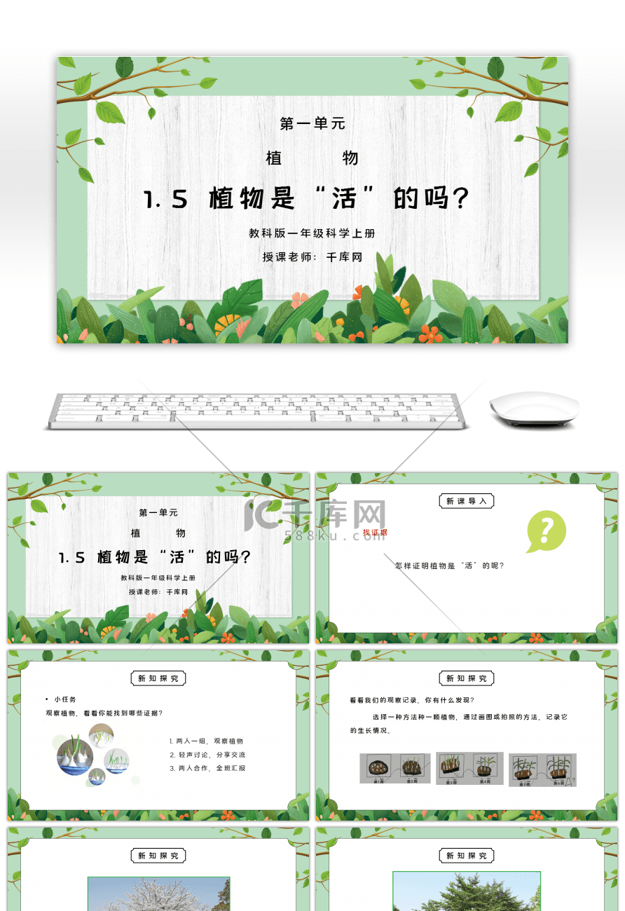 教科版一年级科学上册第一单元《植物-植物是“活”的吗》PPT课件