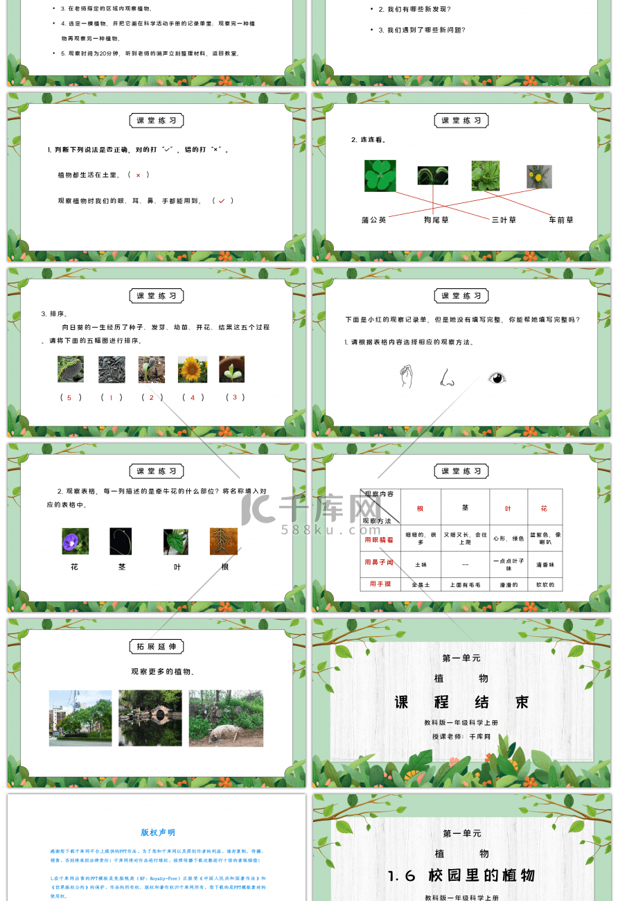 教科版一年级科学上册第一单元《植物-校园里的植物》PPT课件