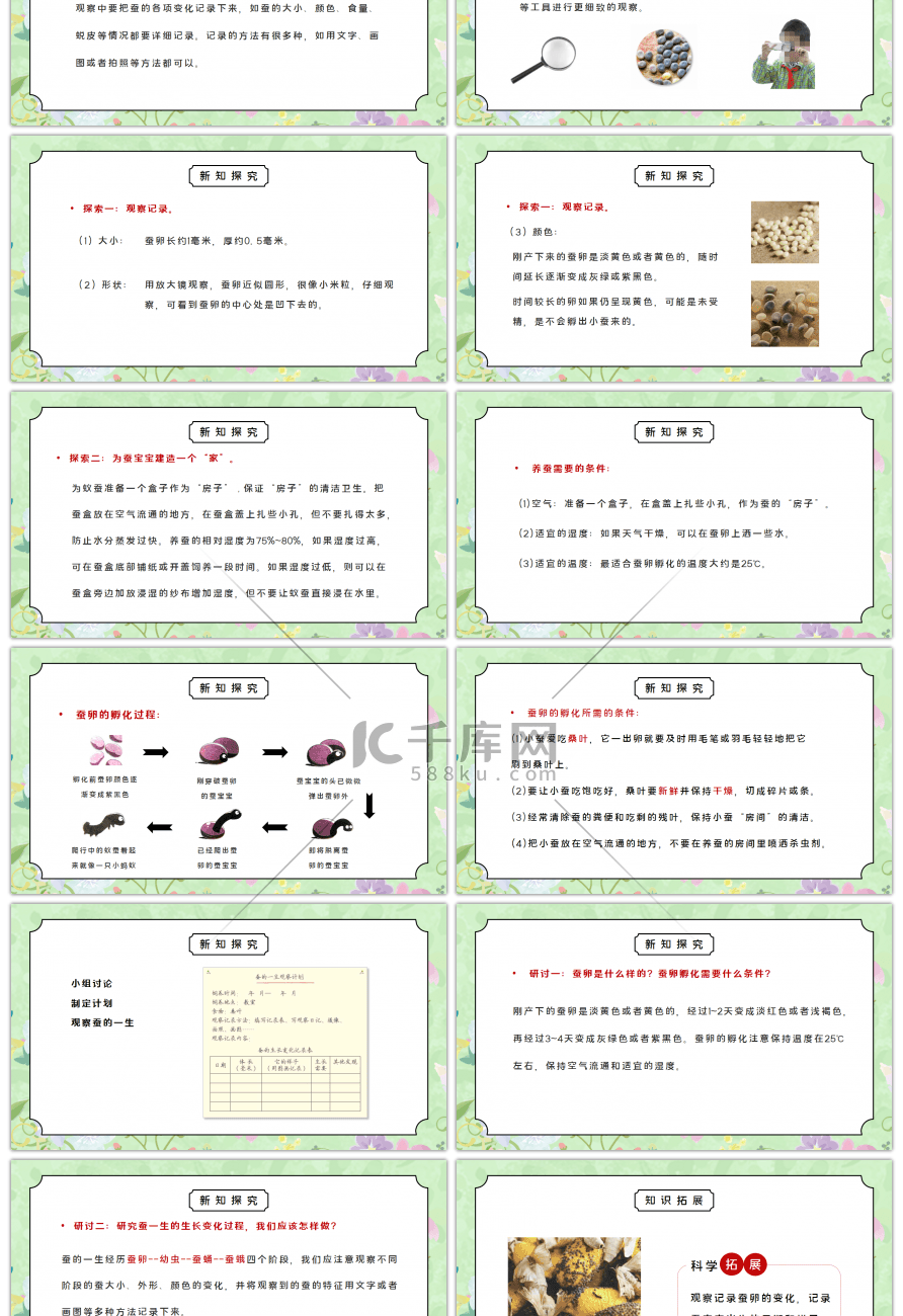 教科版三年级科学下册第二单元《动物的一生-迎接蚕宝宝的到来》PPT课件