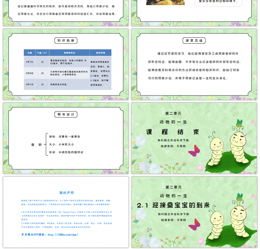 教科版三年级科学下册第二单元《动物的一生-迎接蚕宝宝的到来》PPT课件