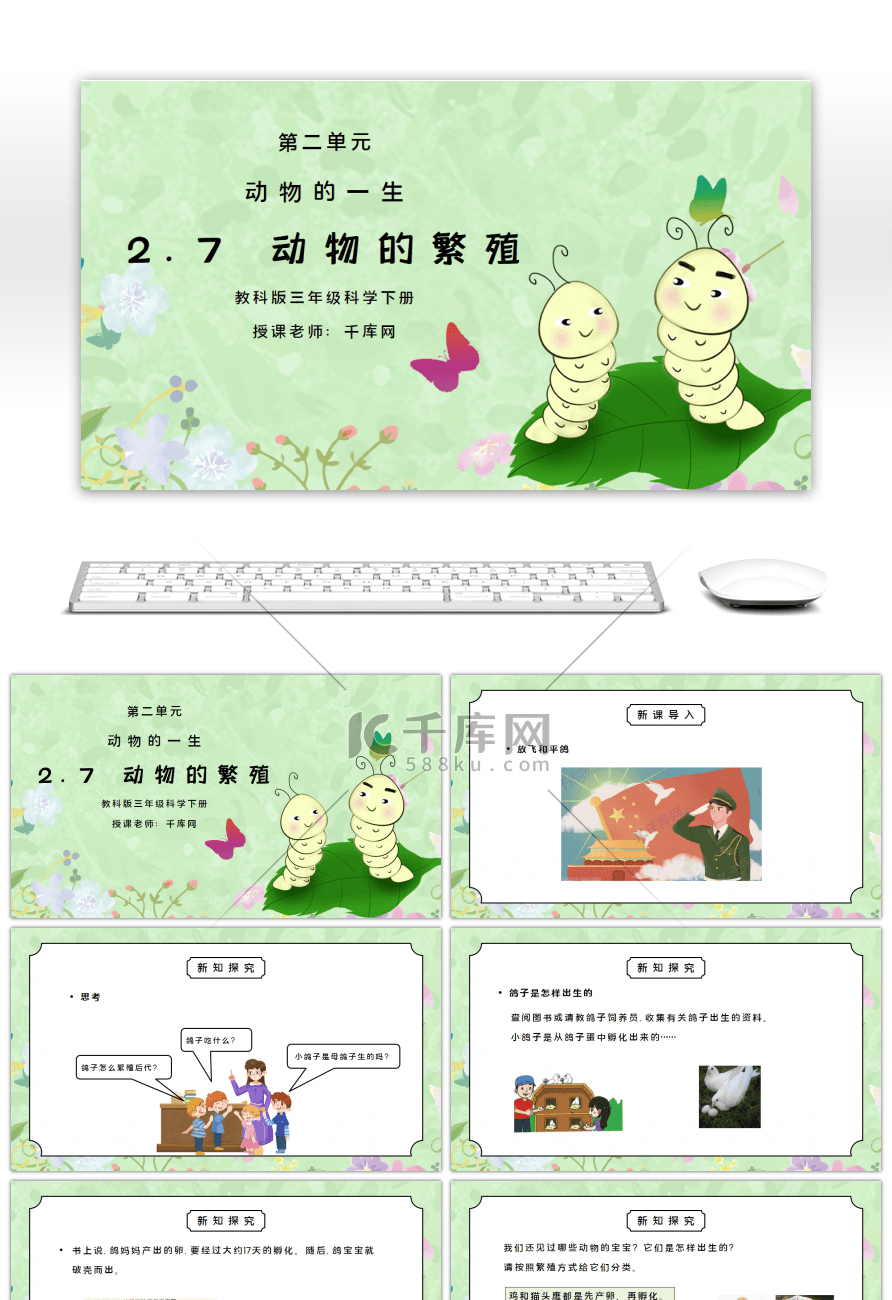 教科版三年级科学下册第二单元《动物的一生-动物的繁殖》PPT课件