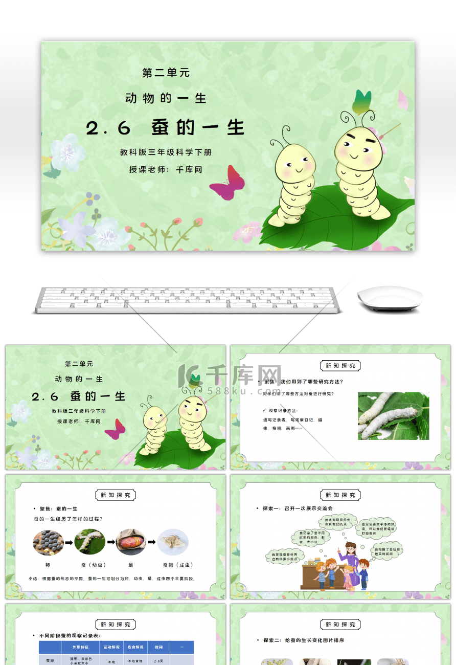 教科版三年级科学下册第二单元《动物的一生-蚕的一生》PPT课件