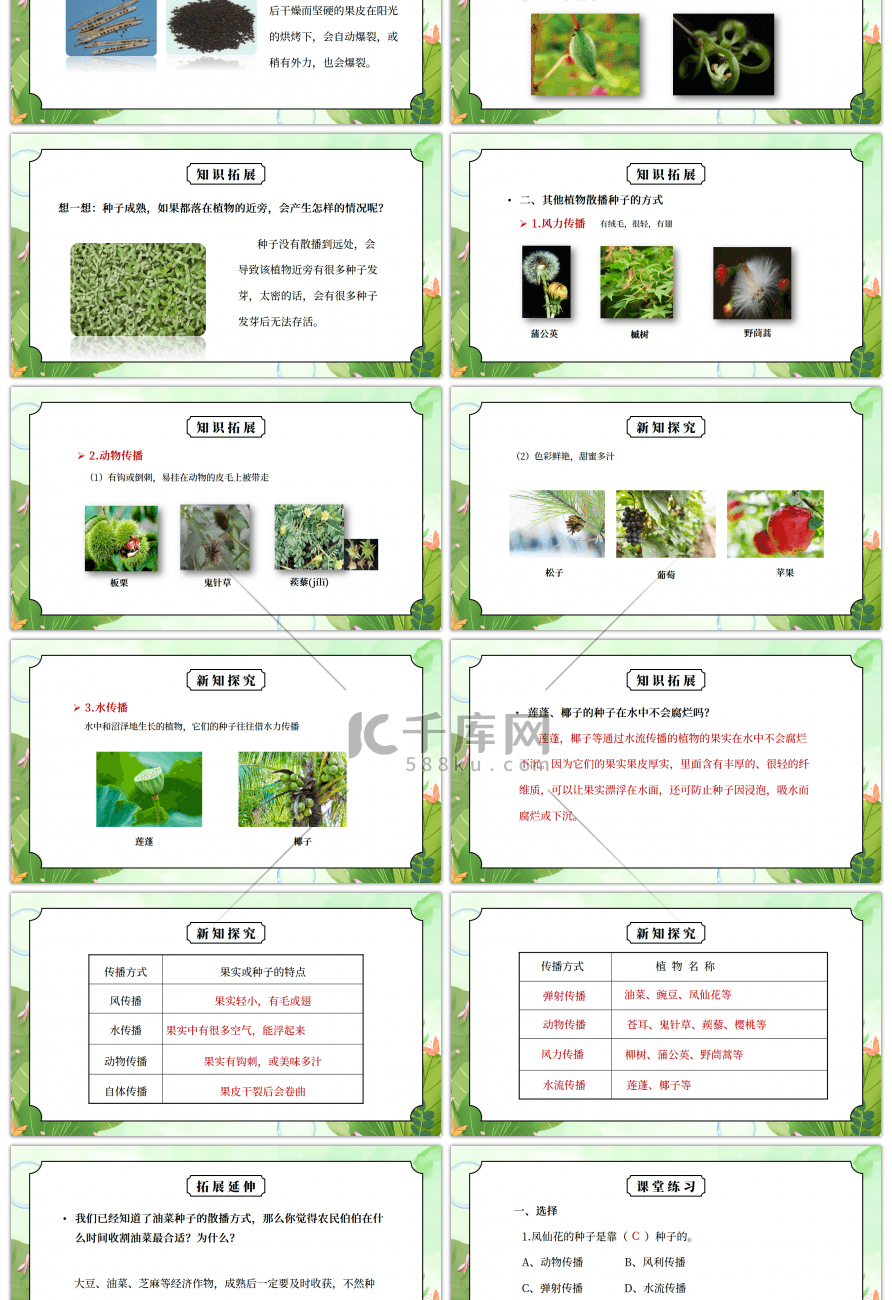 教科版四年级科学下册第二单元《新的生命-把种子散播到远处》PPT课件