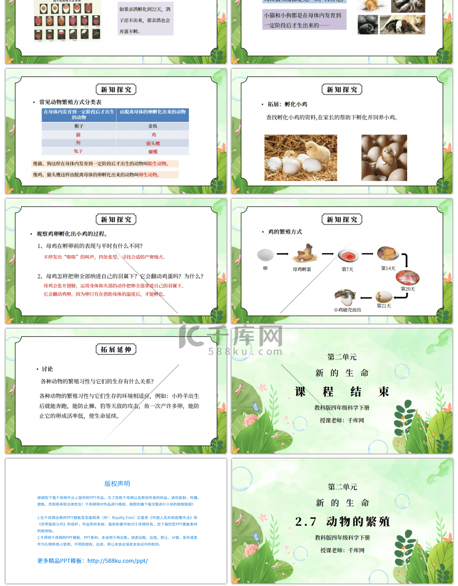 教科版四年级科学下册第二单元《新的生命- 动物的繁殖》PPT课件