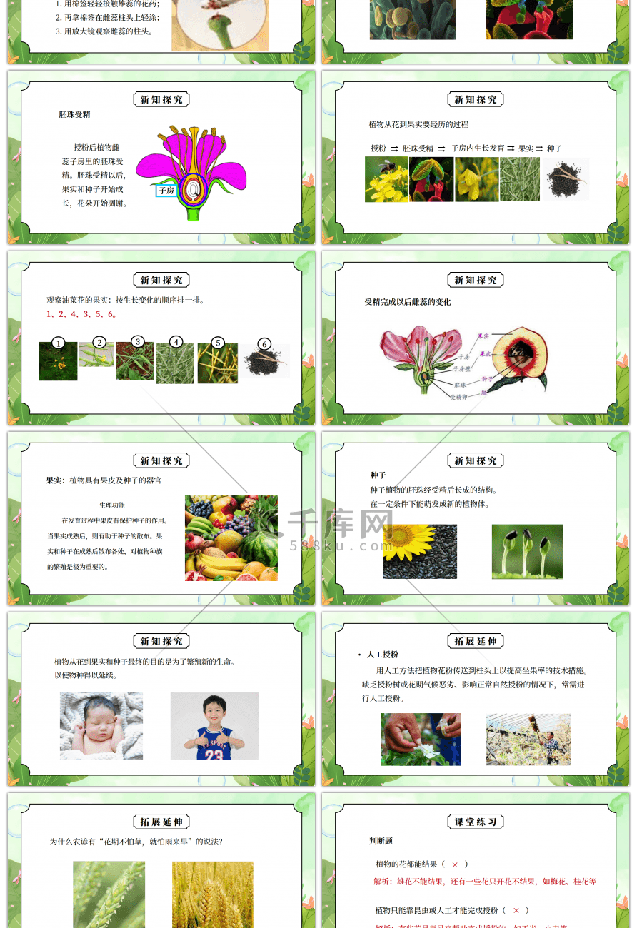 教科版四年级科学下册第二单元《新的生命-花果实和种子》PPT课件