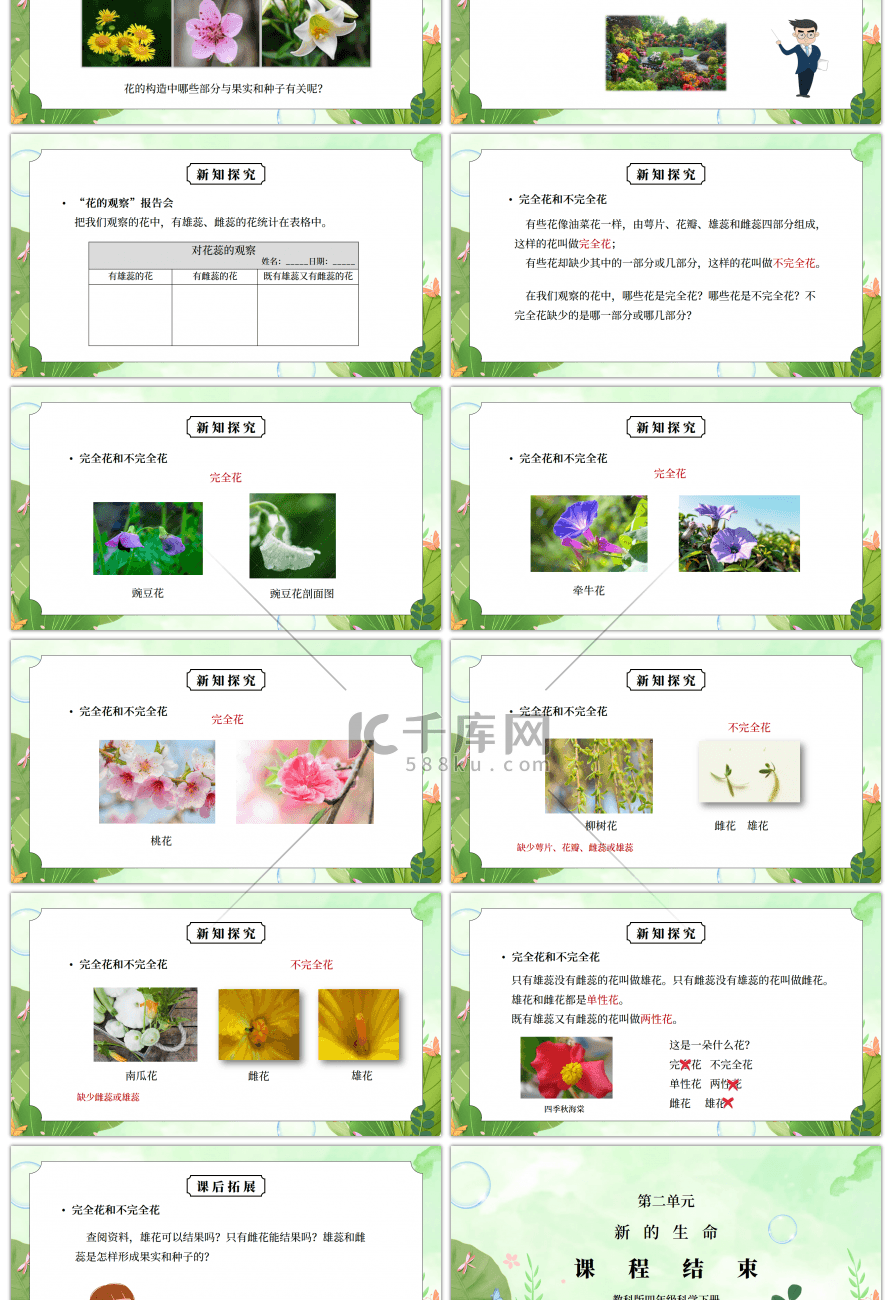 教科版四年级科学下册第二单元《新的生命-各种各样的花》PPT课件