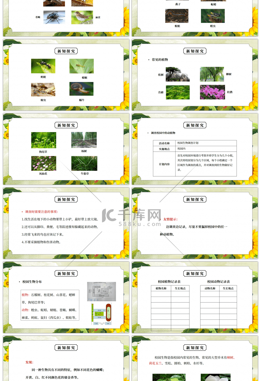 教科版六年级科学上册第四单元《生物的多样性-校园生物大搜索》PPT课件