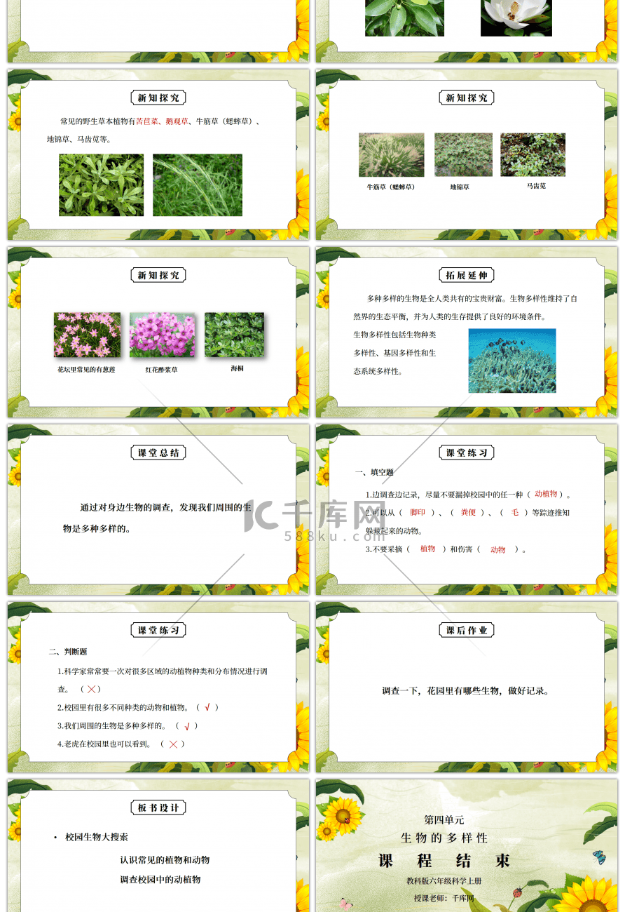 教科版六年级科学上册第四单元《生物的多样性-校园生物大搜索》PPT课件