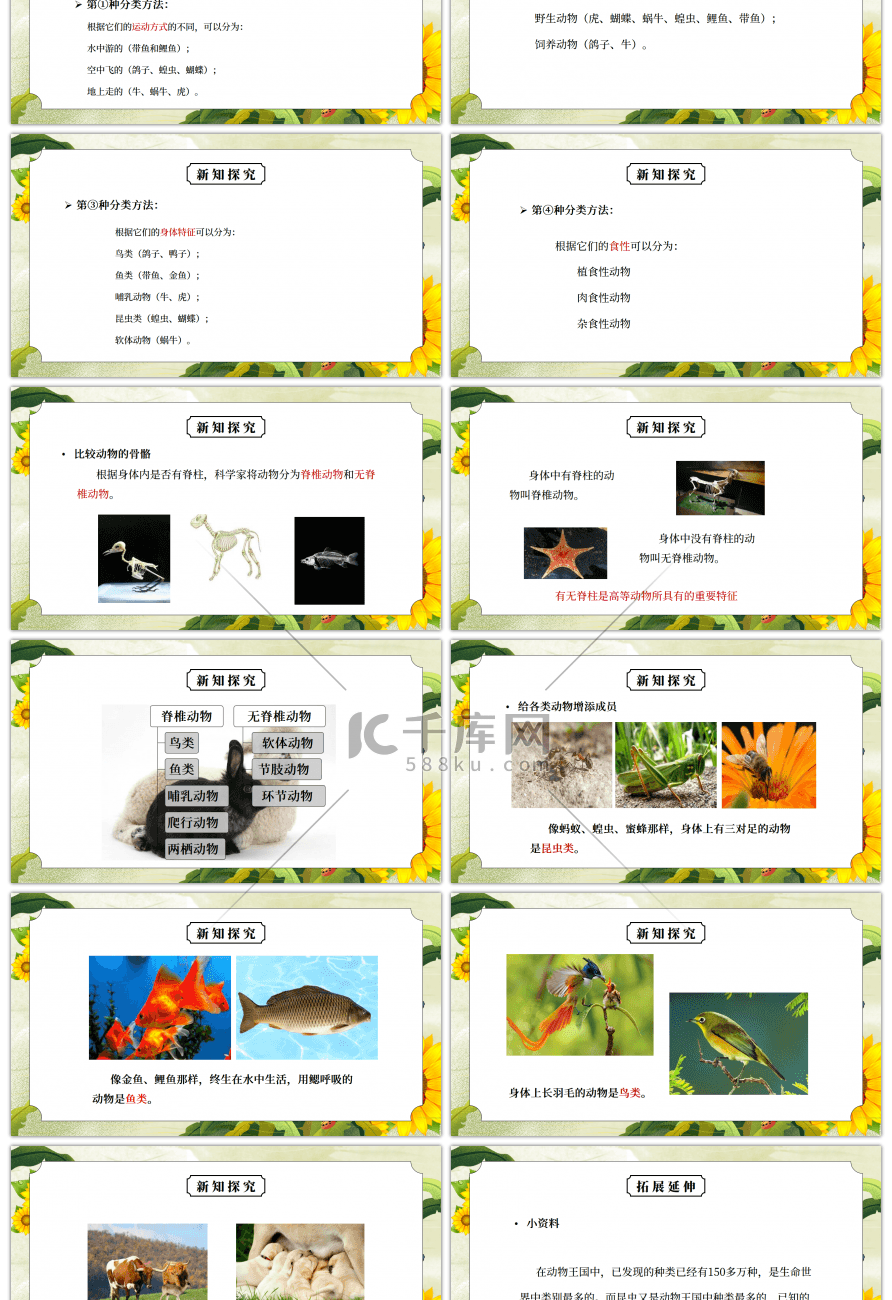 教科版六年级科学上册第四单元《生物的多样性-种类繁多的动物》PPT课件