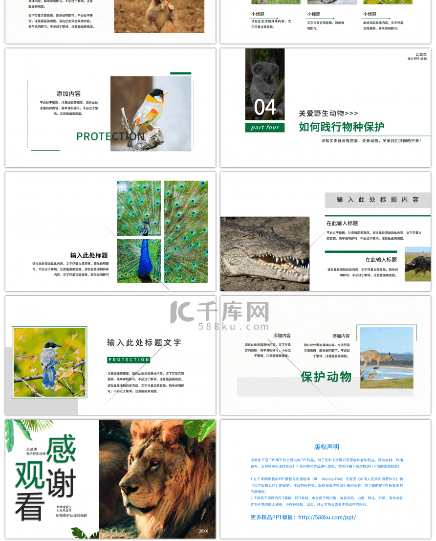 绿色公益宣传保护野生动物画册PPT模板