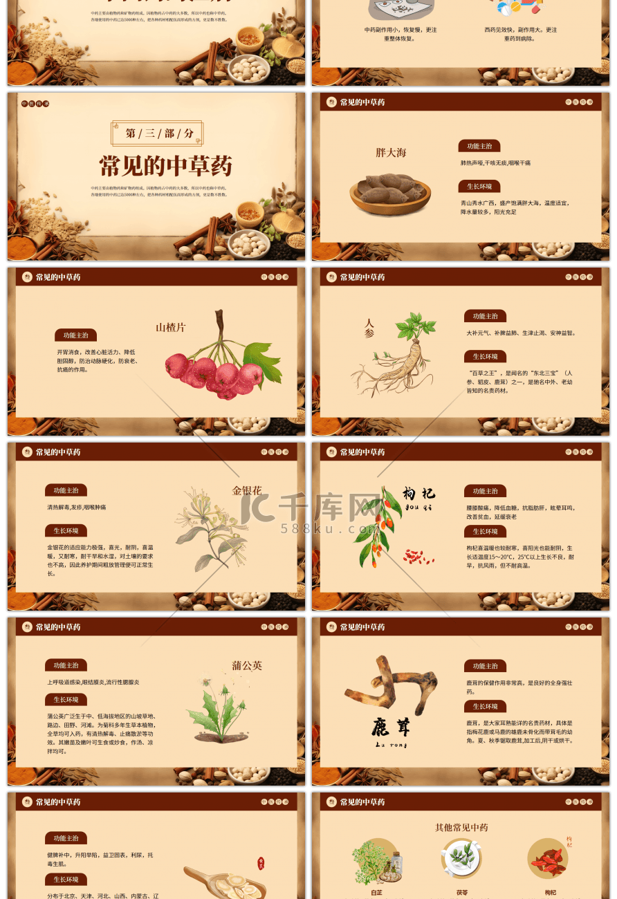 棕色古风传统文化中草药课件中医学PPT