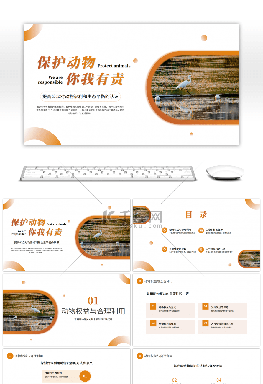 橙色简约动物保护PPT