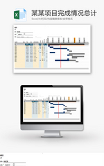 某某项目完成情况总计Excel模板
