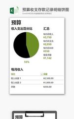 财务预算收支存款明细表饼图excel模板