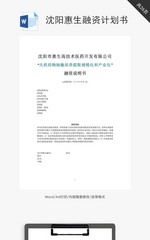 商业融资计划书word文档