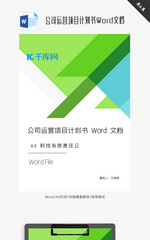 公司运营项目计划书Word文档