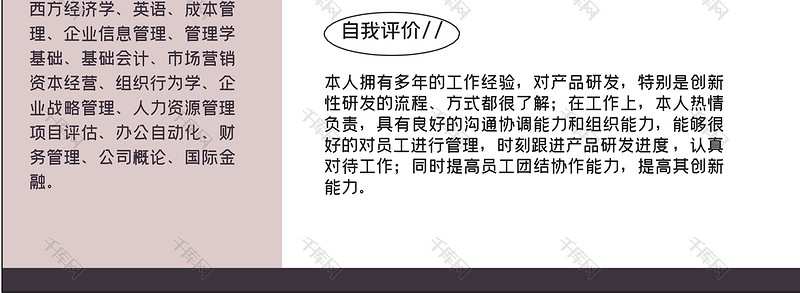 时尚简洁风研发经理岗位word简历